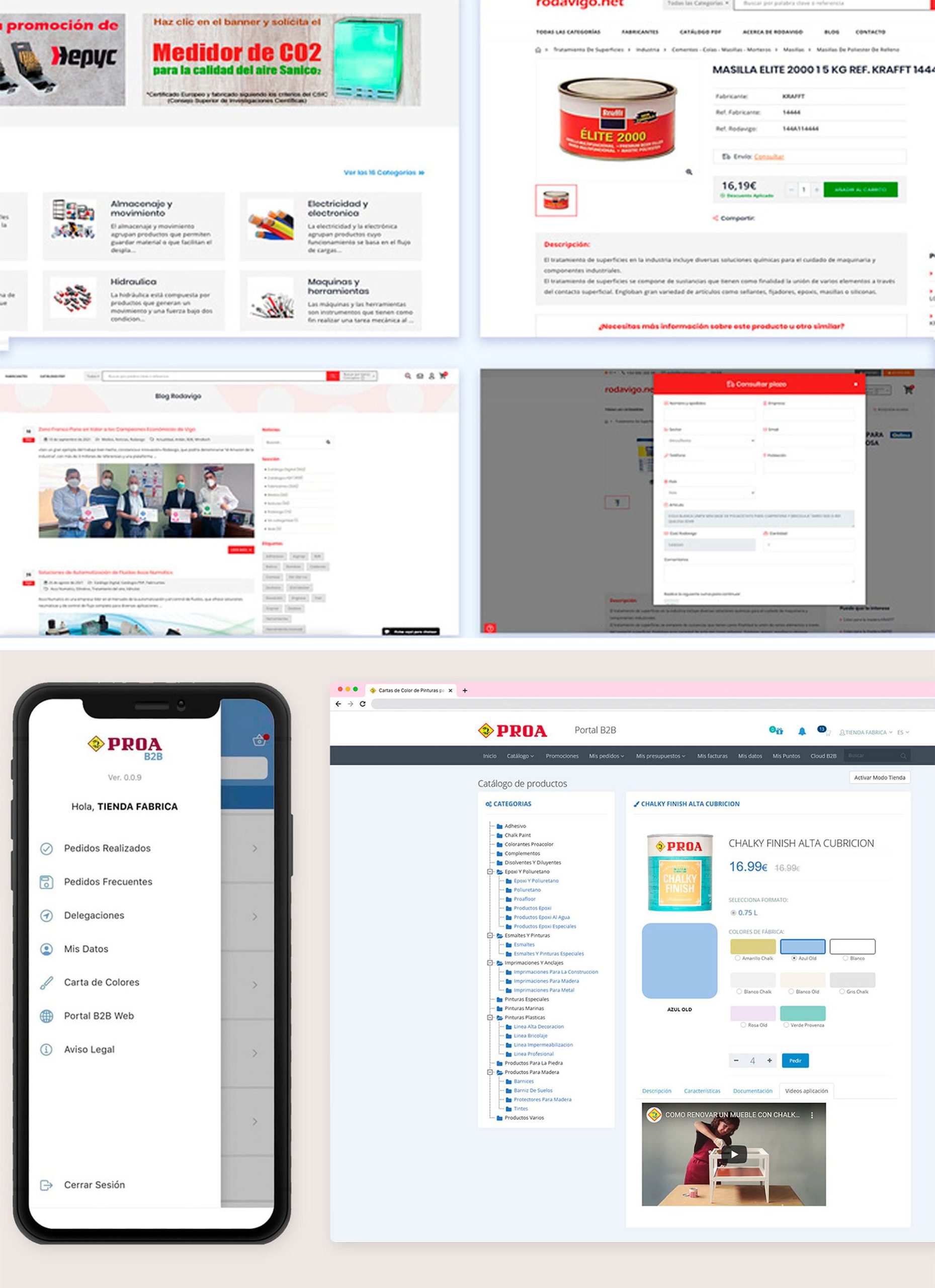 Casos de Estudio: Proa y Rodavigo B2B
