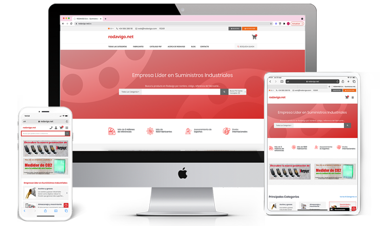 Amplia experiencia desarrollando aplicaciones web a medida en Teconsite