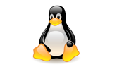 Hosting Linux