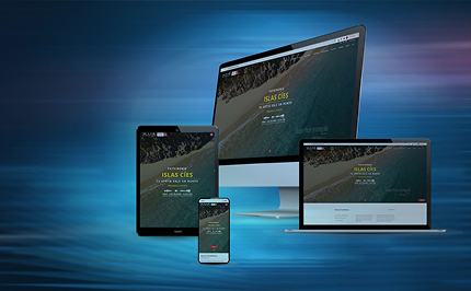 Desarrollo Web a medida