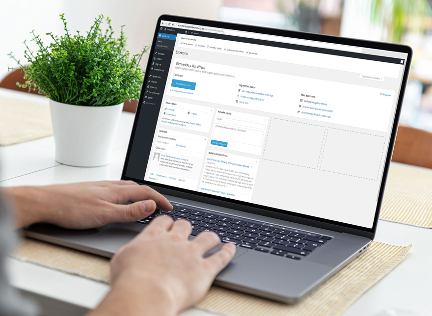 Integración CMS con tu negocio