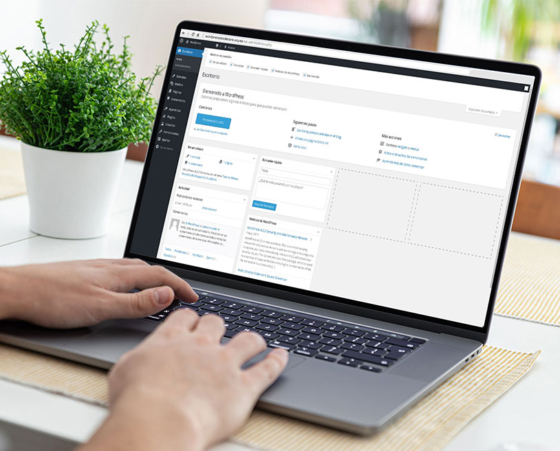 Mantenimiento Web para WordPress